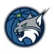Minnesota Lynx logo